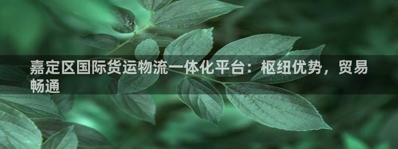 公海赌赌船官网登录网址