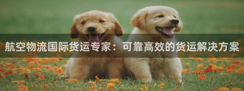 710公海线路检测中心