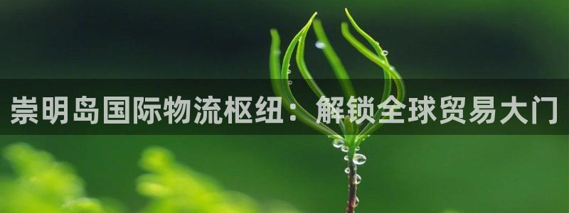 710vip赌船