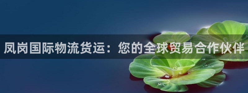 公海赌船平台网址