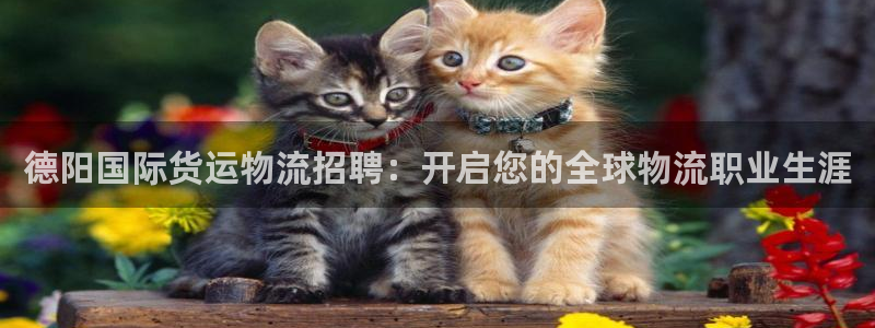 公海赌赌船