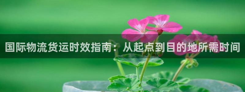 710vip赌船