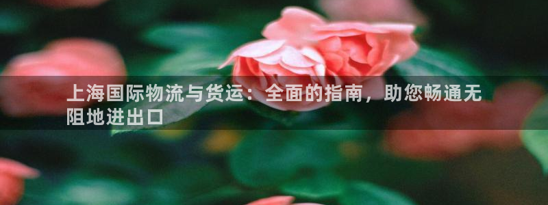 公海赌船网址