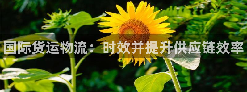 欢迎来到公海710线路是多少
