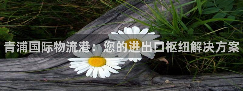 公海赌赌船555000cc