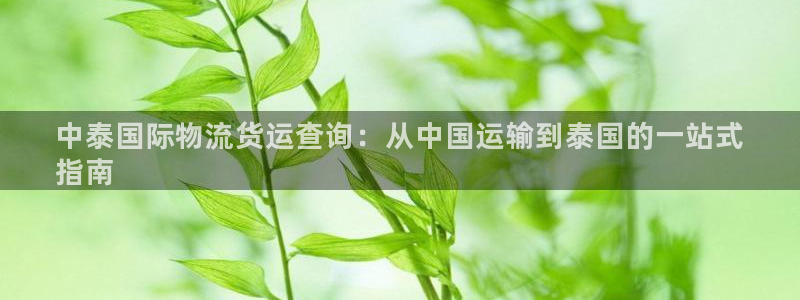 710vip赌船