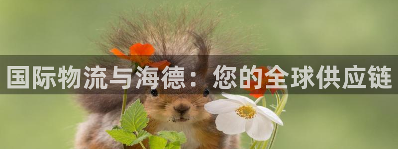 公海赌赌船官网jc710