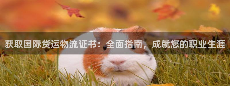 欢迎来到公海710线路是多少
