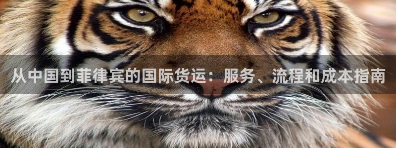 公海赌船平台网址